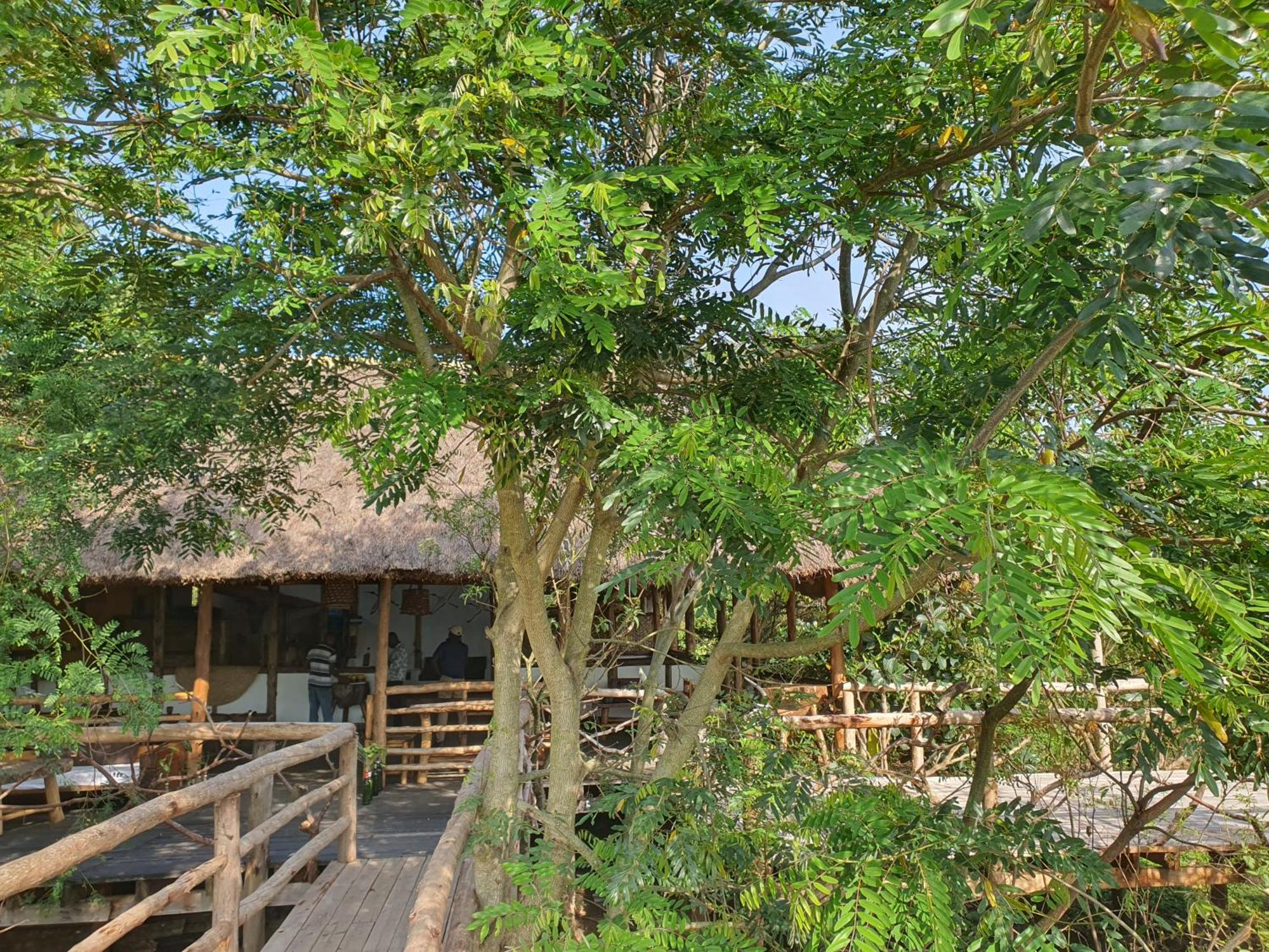 Topi Lodge Katunguru Exterior photo
